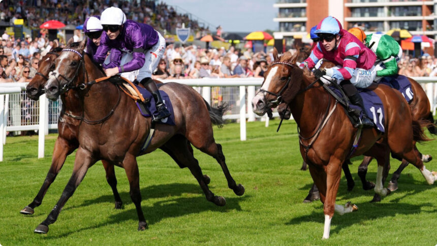 Hollywood Treasure, St Hugh's Stakes, David Egan, Rowan Scott, Flowerhead.